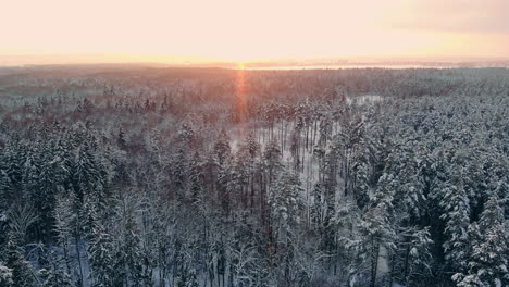 Imágenes-Aéreas-De-Volar-Entre-Hermosos-árboles-Nevados-En-Medio-Del-Desierto-En-Laponia-Finlandia.
